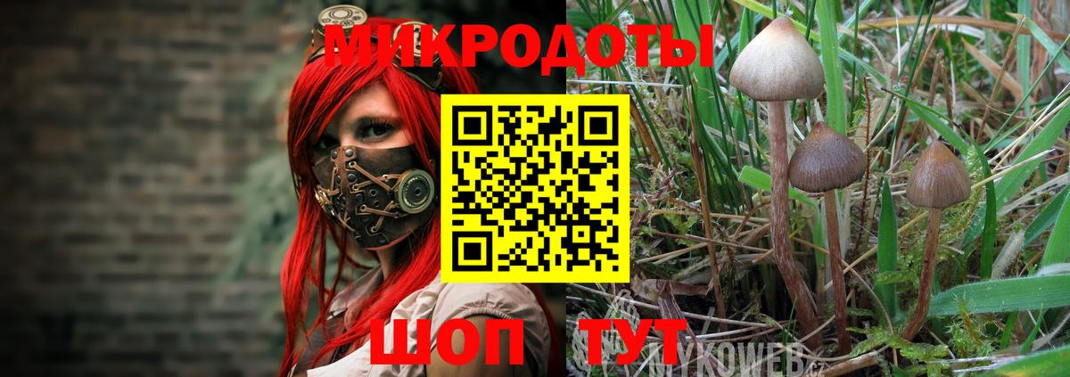 магазин    Галлюциногенные грибы Psilocybe  Вход с VPN  Псилоцибиновые грибы мицелий  Заинск 