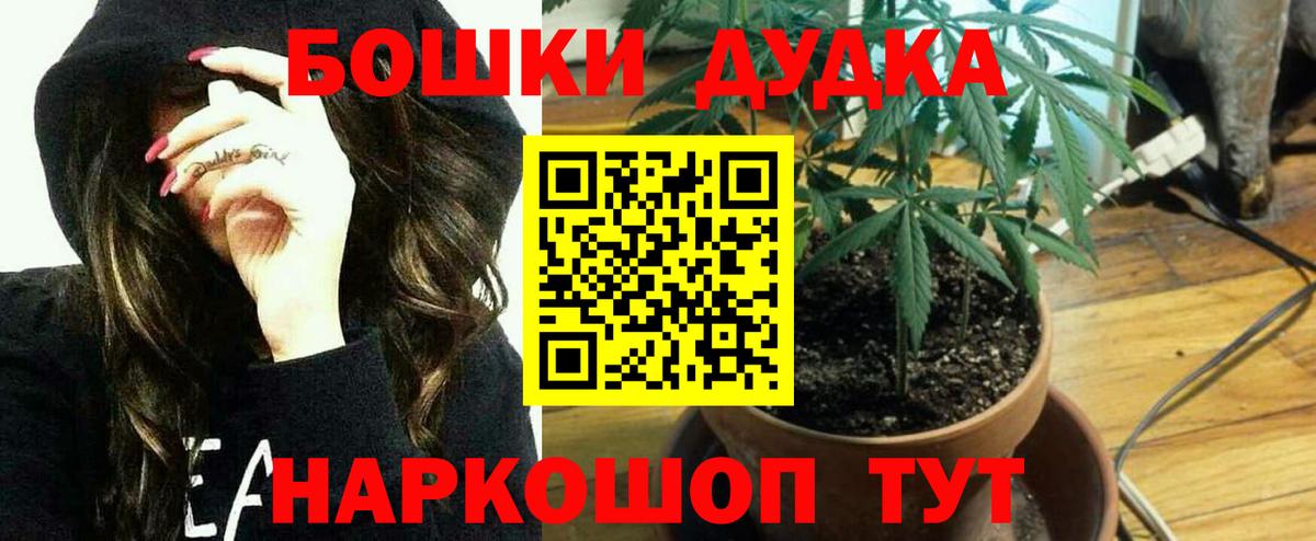 Конопля THC 21%  Шишки марихуана планчик  Вход с VPN  Заинск 